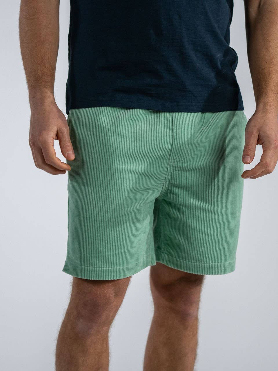 Velvet Shorts Beach Horizon